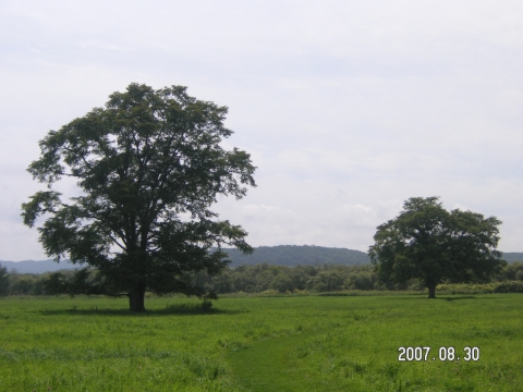 s_PICT0563.jpg